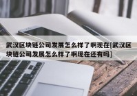 武汉区块链公司发展怎么样了啊现在[武汉区块链公司发展怎么样了啊现在还有吗]