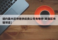 纽约最大区块链供应商公司有哪些[美国区块链项目]